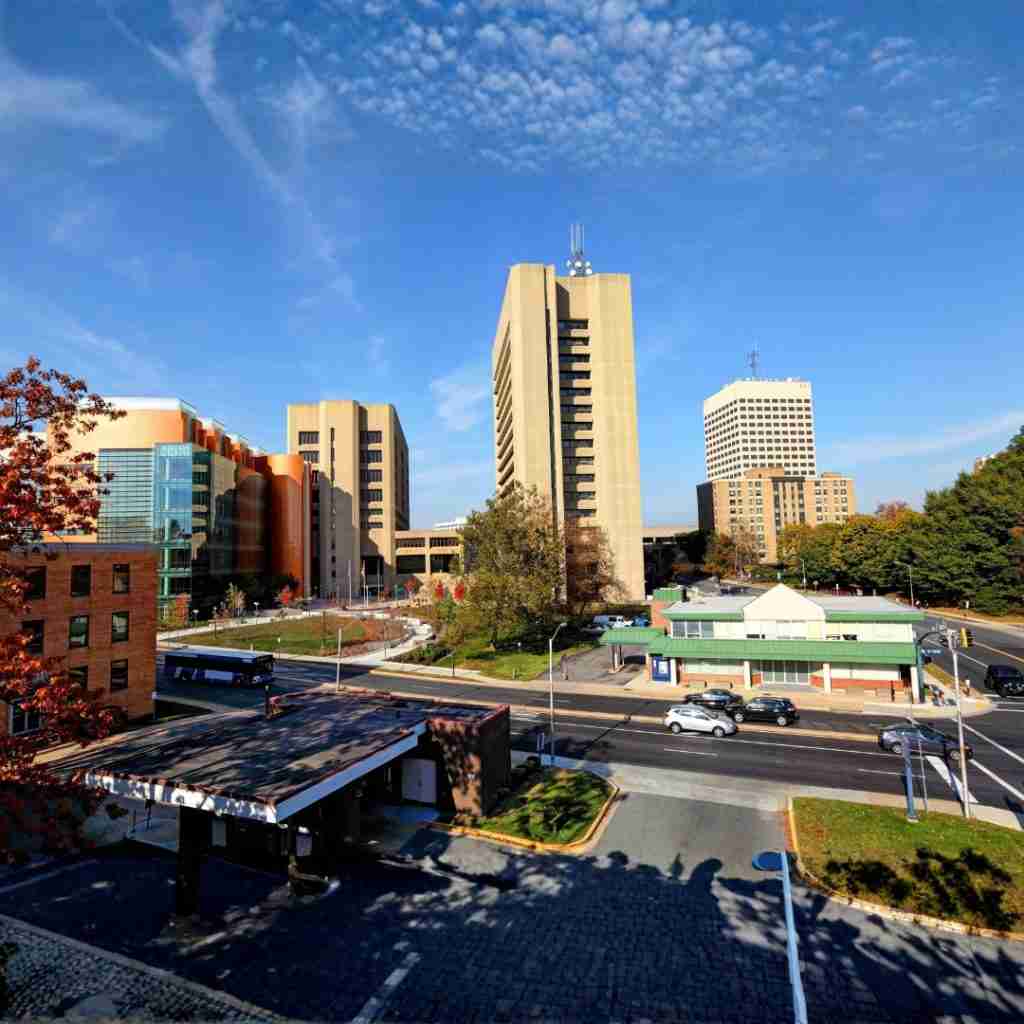 Professional landscaping and hardscaping services in Rockville MD