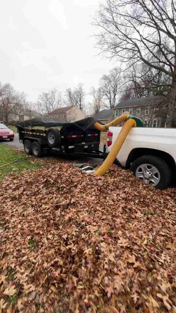Residential fall leaf removal truck and leaf vacuum equipment service in Montgomery County, MD | Landscaping & Seasonal cleanups in Montgomery County, MD.