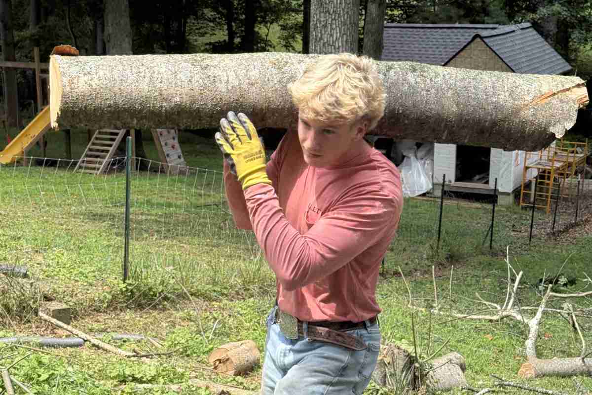 Anytyme Outdoor Services crew member carrying a heavy tree log during a land clearing project in Montgomery County, MD.